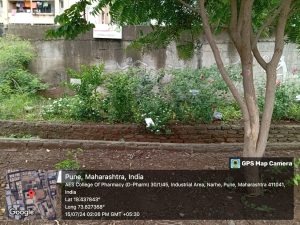 IMG-20240715-WA0010 (1)