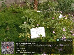 IMG-20240715-WA0022
